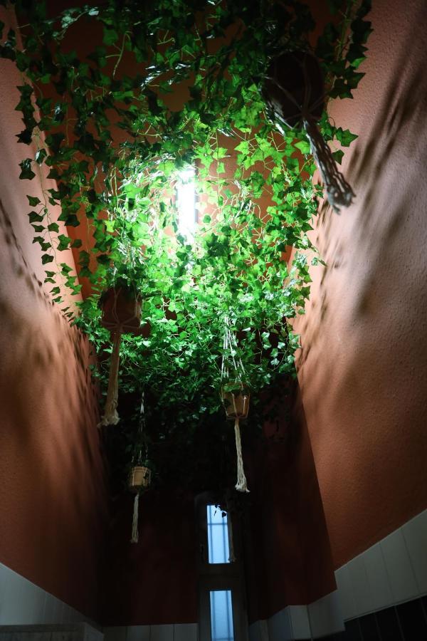 Apartamento 61